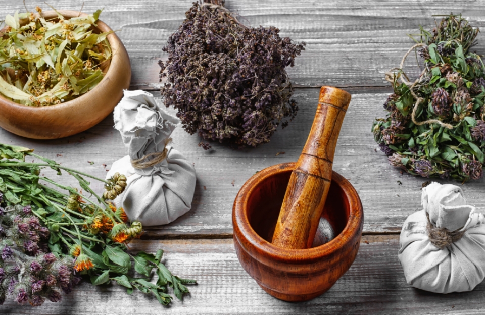Formas de administración de las plantas medicinales
